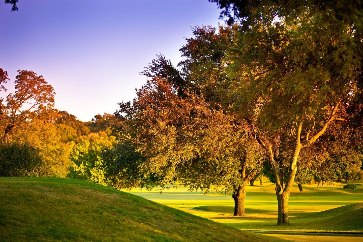 The Club at Los Rios