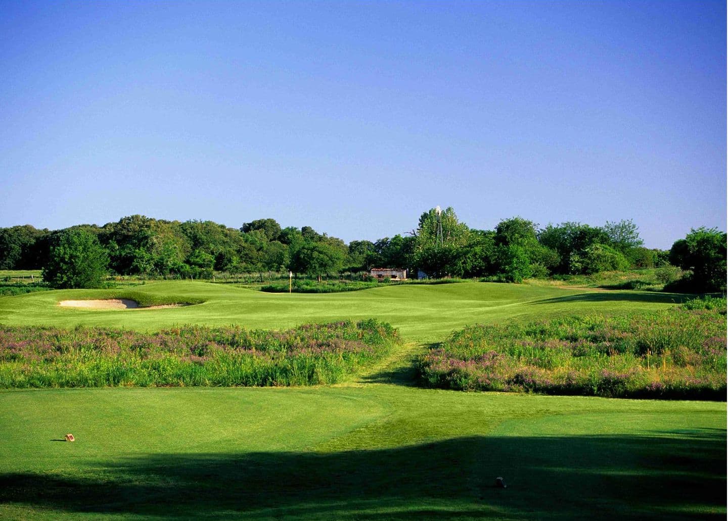 Tierra Verde Golf Club