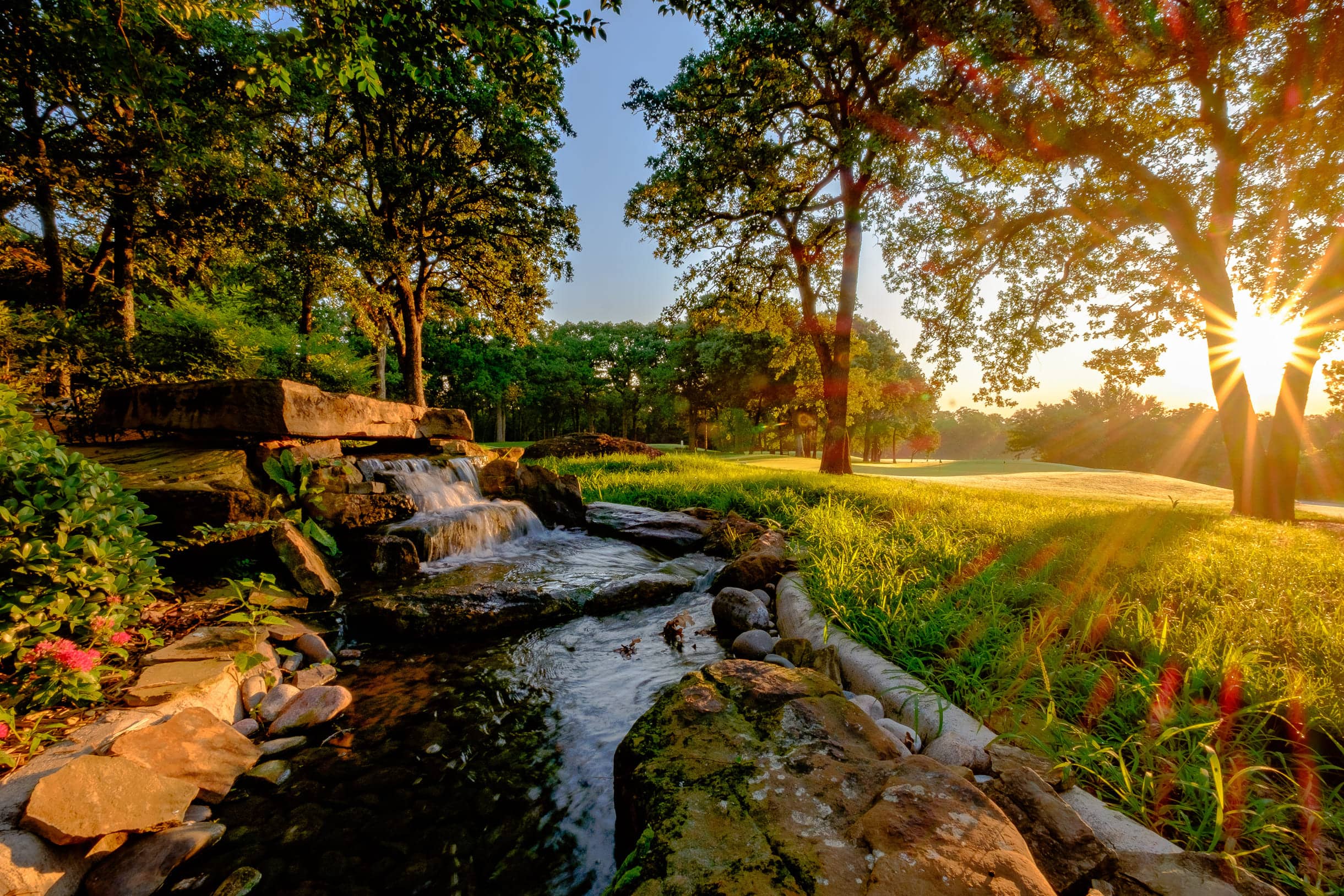 Grapevine Golf Course - Mockingbird